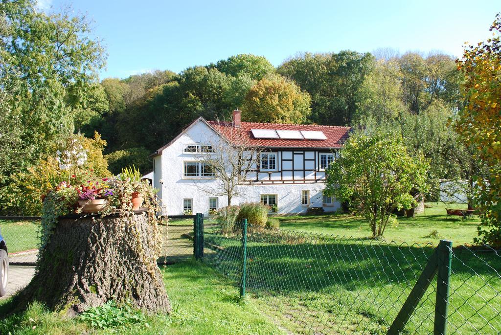 Ferienwohnung Obermuehle Ballstädt Chambre photo